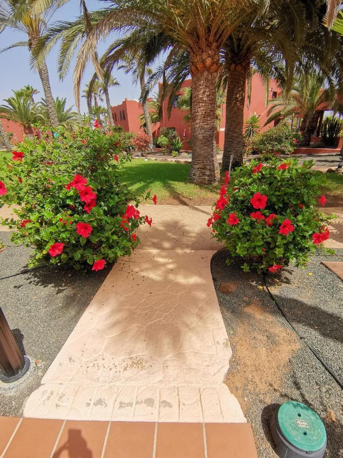 Spagnolo Oasis Tamarindo Apartament *