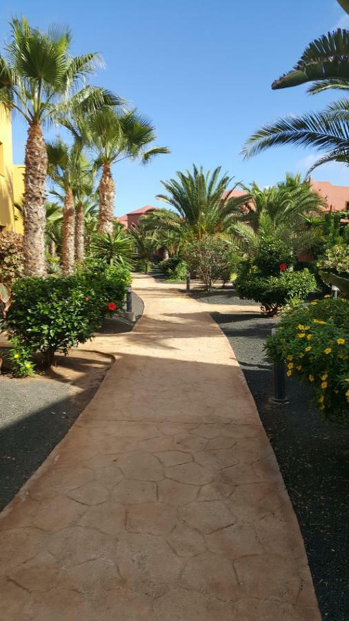 Spagnolo Oasis Tamarindo Apartament *