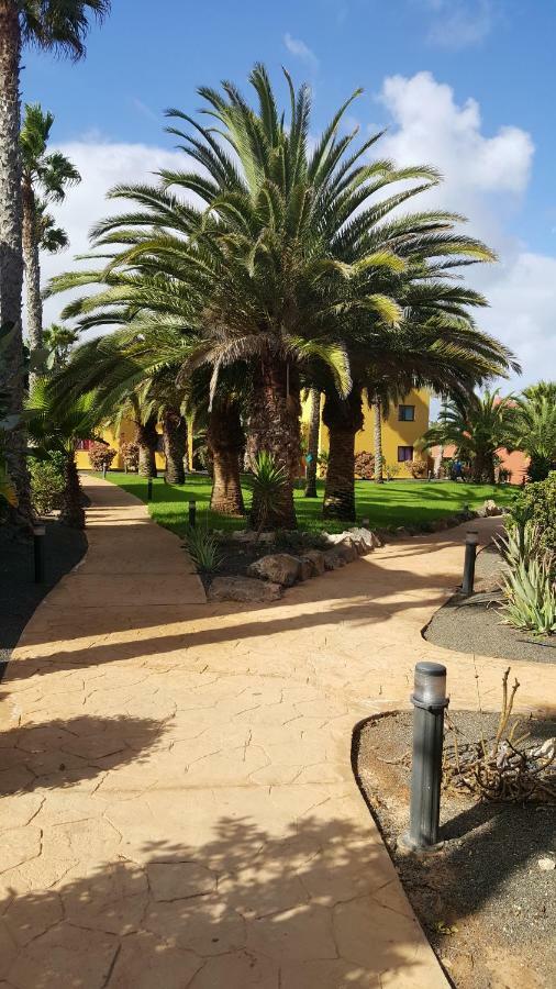 Spagnolo Oasis Tamarindo Apartament *